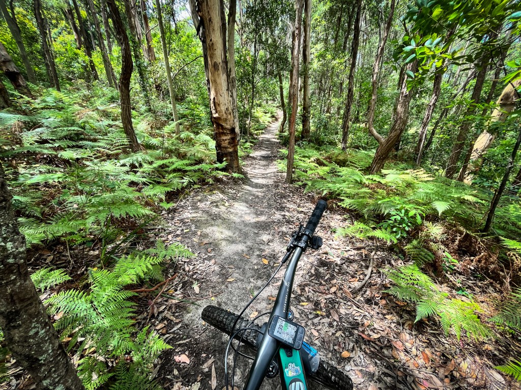 Braining, biking and how remarkably we adapt to&nbsp;change